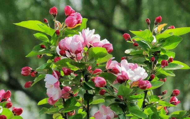 地埋水箱 地埋水箱