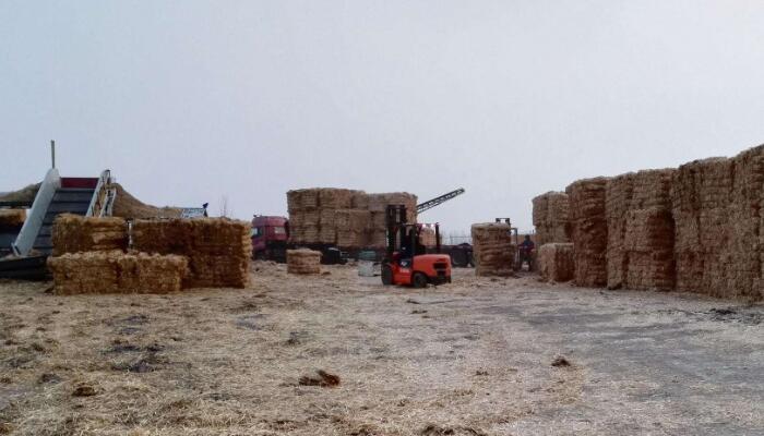 地埋水箱 地埋水箱